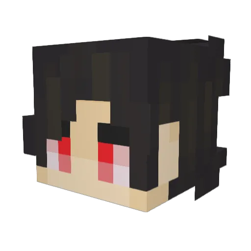 9reed Minecraft avatar head, 3D render