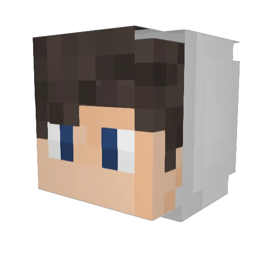 9richard Minecraft avatar head, 3D render