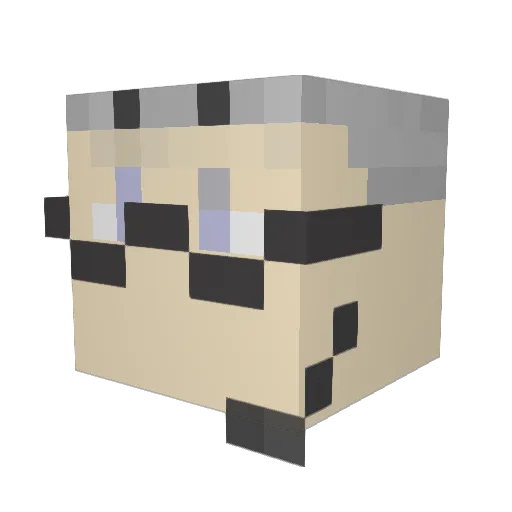 9rogane_ch Minecraft avatar head, 3D render