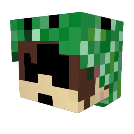 9ross Minecraft avatar head, 3D render