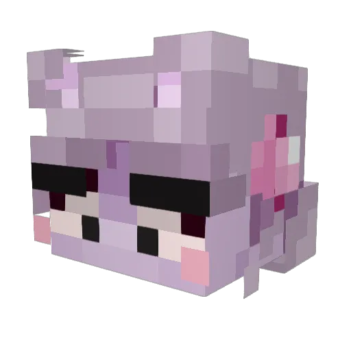 9talia Minecraft avatar head, 3D render