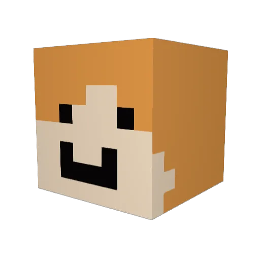 9tf Minecraft avatar head, 3D render