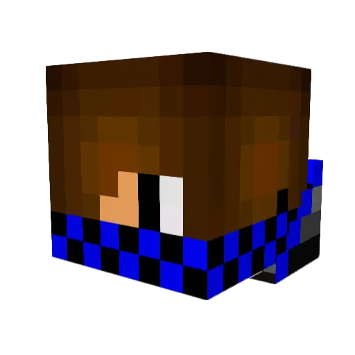 9thCharge Minecraft avatar head, 3D render