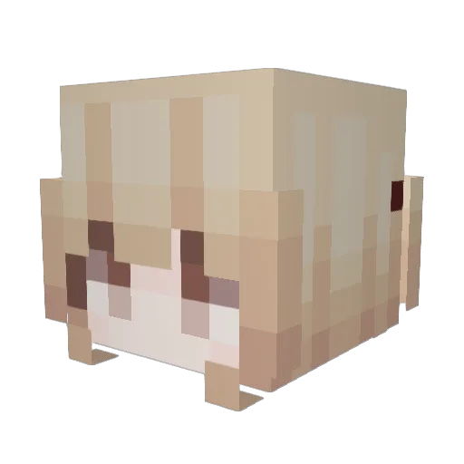 9thCrest Minecraft avatar head, 3D render