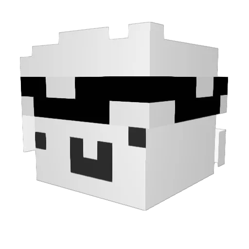 9trength Minecraft avatar head, 3D render