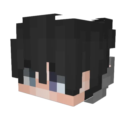 9u6o Minecraft avatar head, 3D render