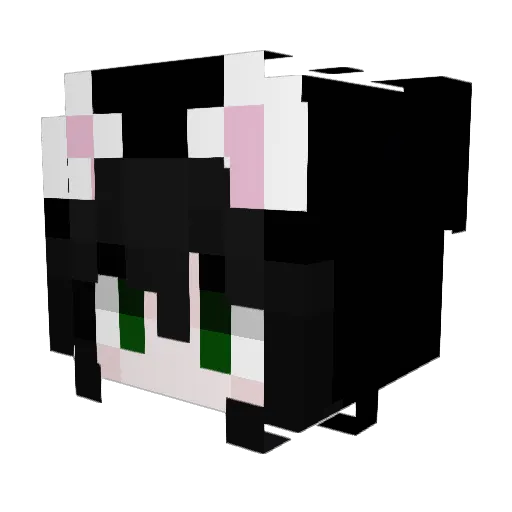 9ujk Minecraft avatar head, 3D render
