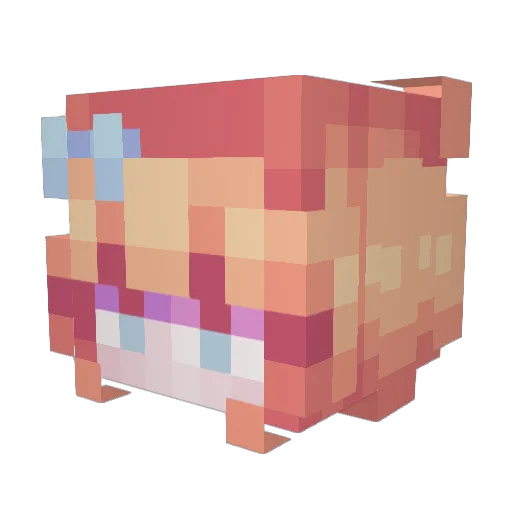 9wo Minecraft avatar head, 3D render