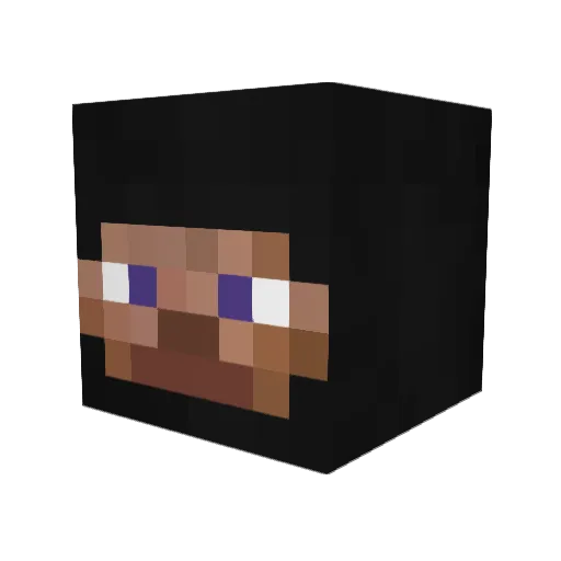 9xASN Minecraft avatar head, 3D render