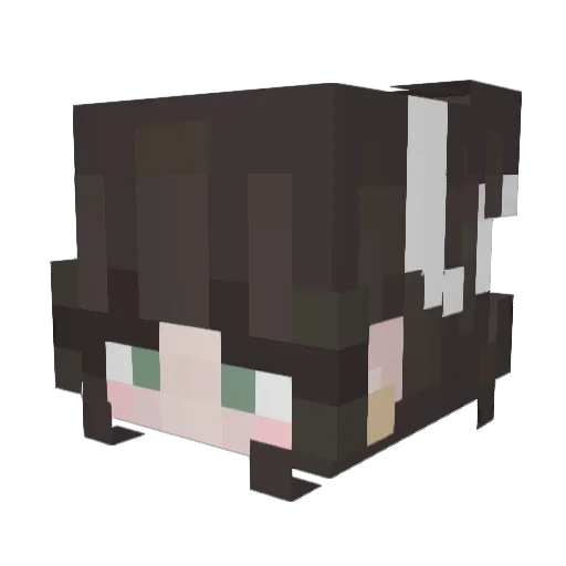 9xia Minecraft avatar head, 3D render