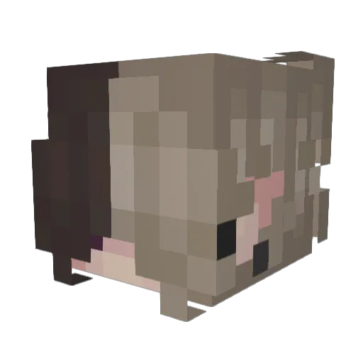 9xnightmare Minecraft avatar head, 3D render