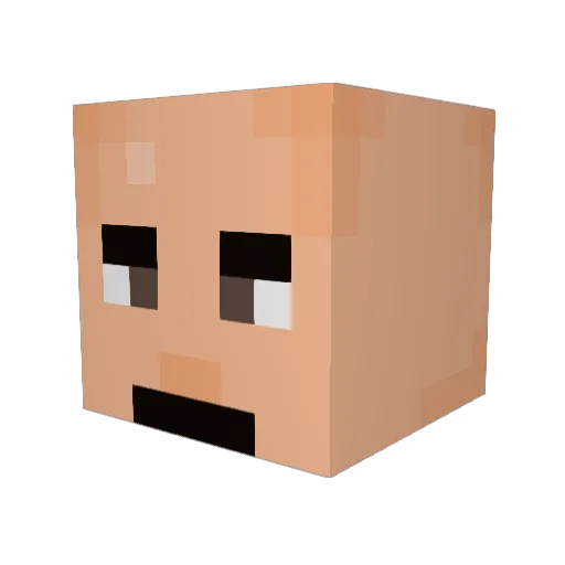 9xt Minecraft avatar head, 3D render