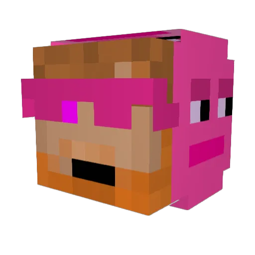 A013cc__1 Minecraft avatar head, 3D render