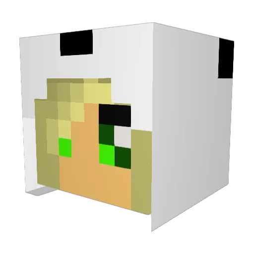 A0EFan Minecraft avatar head, 3D render