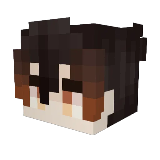 A12467aapoy Minecraft avatar head, 3D render