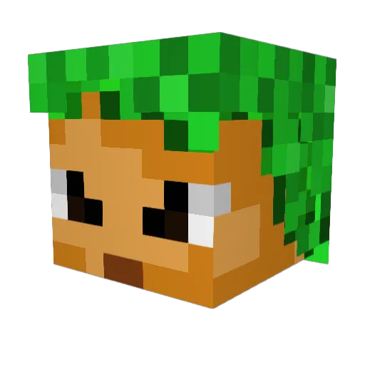 A1Anthony Minecraft avatar head, 3D render