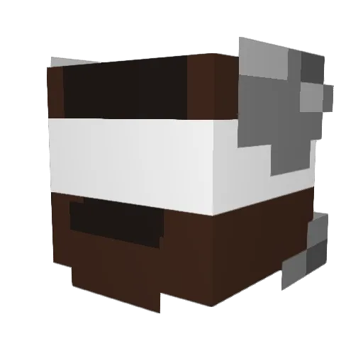A1D3N69 Minecraft avatar head, 3D render