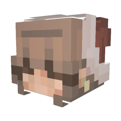 A1SkyRaid3r Minecraft avatar head, 3D render
