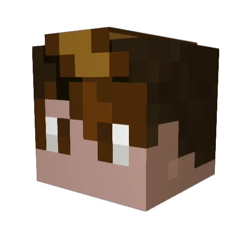 A1Soccer29 Minecraft avatar head, 3D render