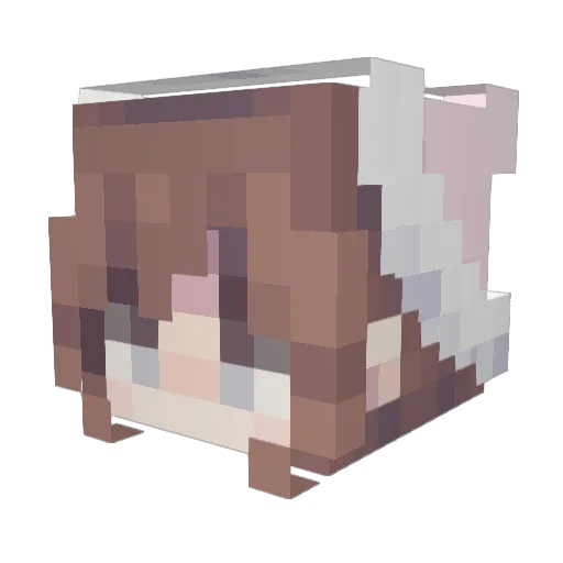 A1icj4 Minecraft avatar head, 3D render