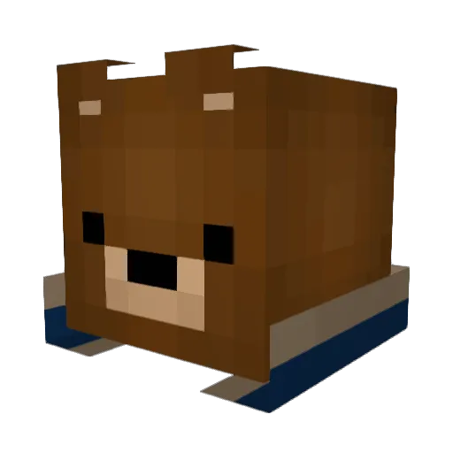 A1r0nyx Minecraft avatar head, 3D render