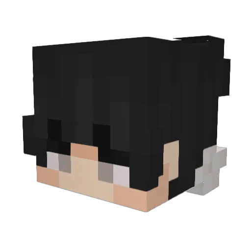 A260A Minecraft avatar head, 3D render