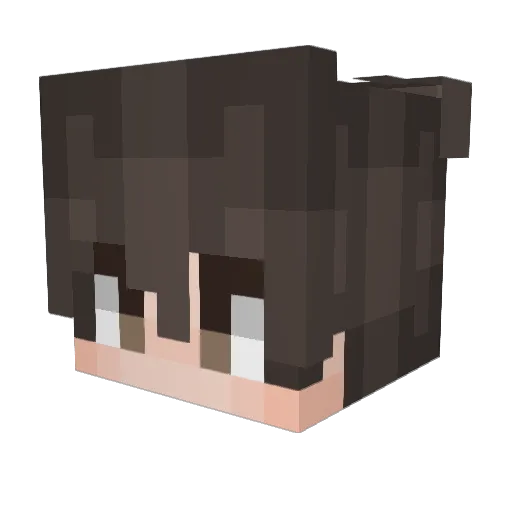 A4N6Z6 Minecraft avatar head, 3D render
