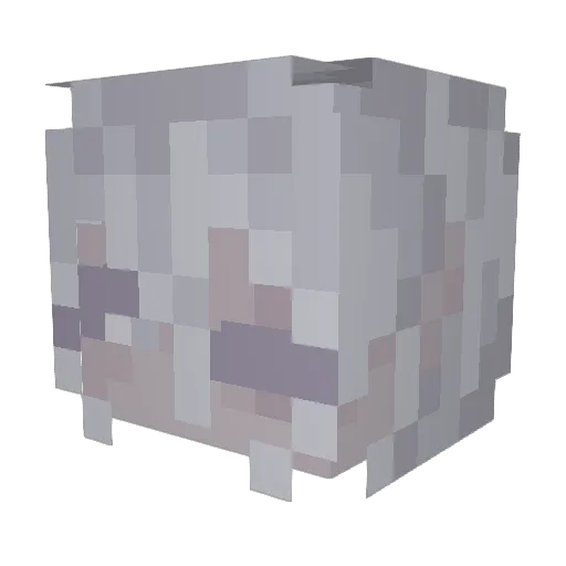 A4elin3 Minecraft avatar head, 3D render