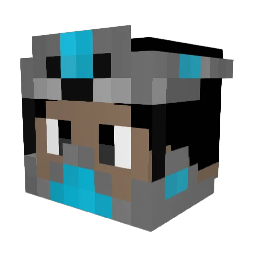 A4roNinja Minecraft avatar head, 3D render