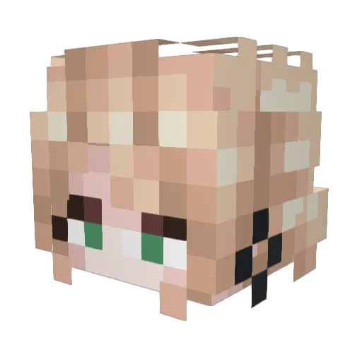 A5NA Minecraft avatar head, 3D render