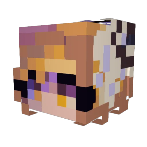A5boys Minecraft avatar head, 3D render