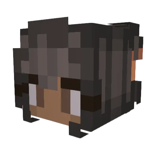 A5hbrown Minecraft avatar head, 3D render