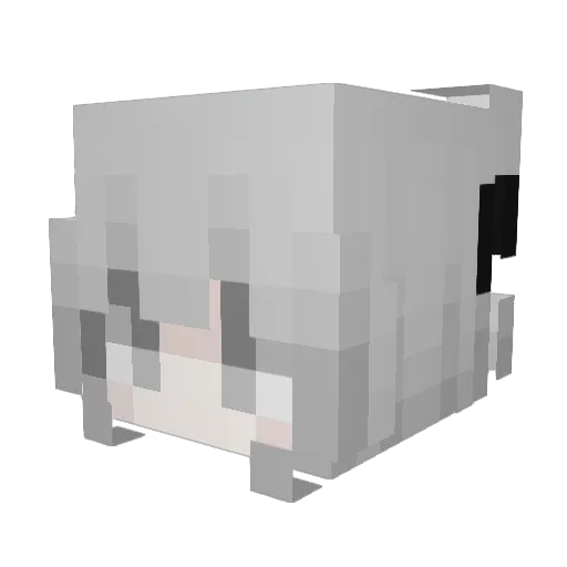 A6J Minecraft avatar head, 3D render