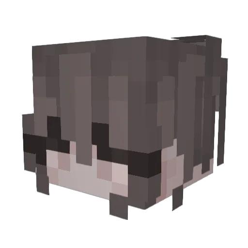 A6ly Minecraft avatar head, 3D render