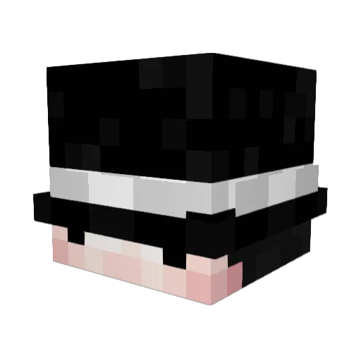 AAAAAAAAAAAAAA2 Minecraft avatar head, 3D render