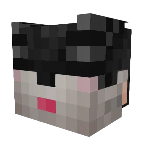 AAAAAAAAAAAAASH Minecraft avatar head, 3D render