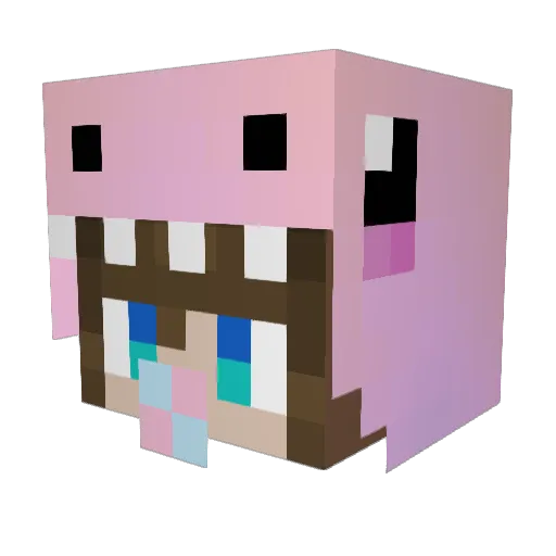 AAAGONG Minecraft avatar head, 3D render