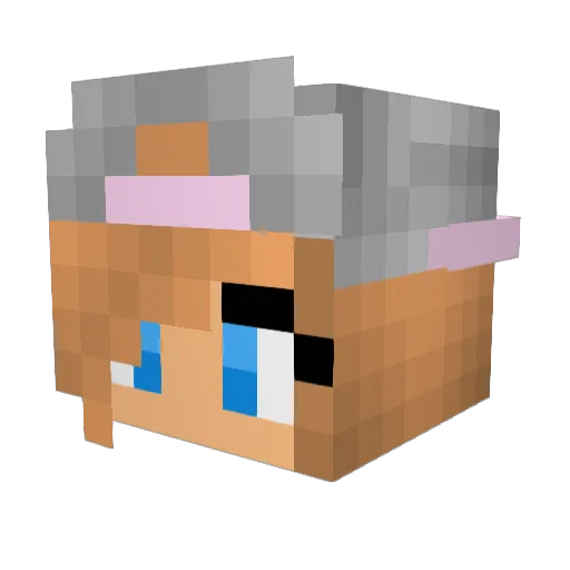 AAAKarl Minecraft avatar head, 3D render