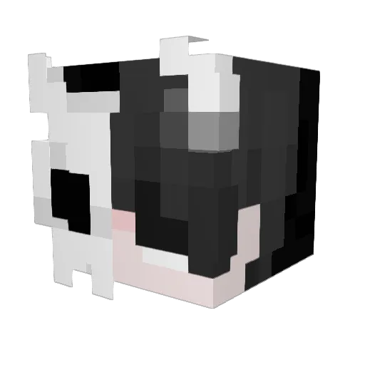 AADDZZ_ Minecraft avatar head, 3D render