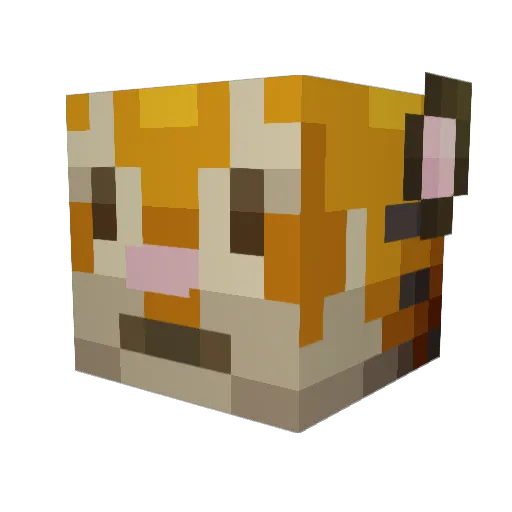 AAE_TigerSkin Minecraft avatar head, 3D render