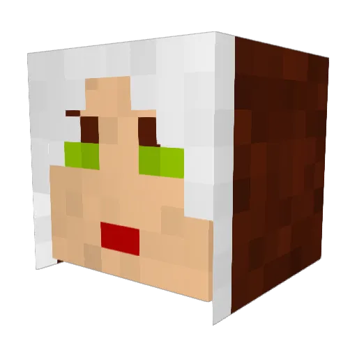 AAHunt3r Minecraft avatar head, 3D render