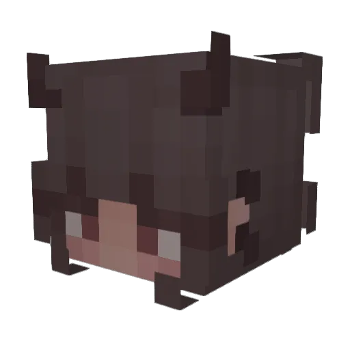 AAIINNOO Minecraft avatar head, 3D render