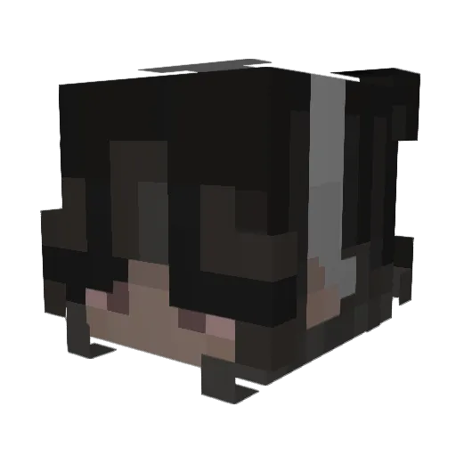 AAJIA Minecraft avatar head, 3D render
