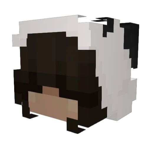 AAL1YAH26 Minecraft avatar head, 3D render
