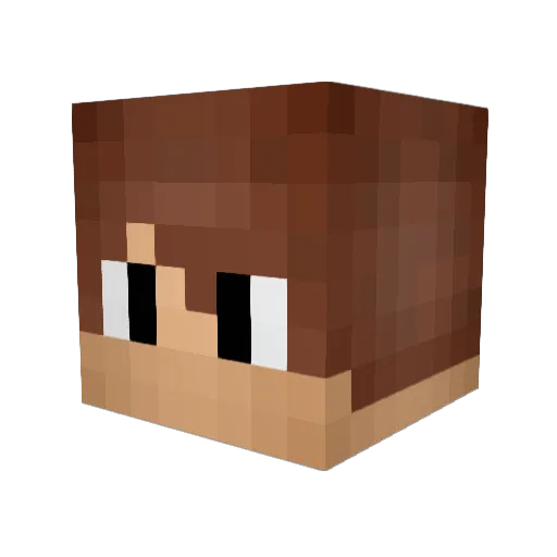 AANDRXW Minecraft avatar head, 3D render