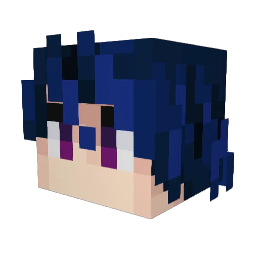 AAiden_ Minecraft avatar head, 3D render