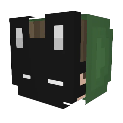 AAker Minecraft avatar head, 3D render