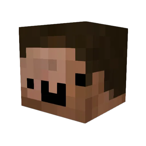 AAronLikesFud Minecraft avatar head, 3D render
