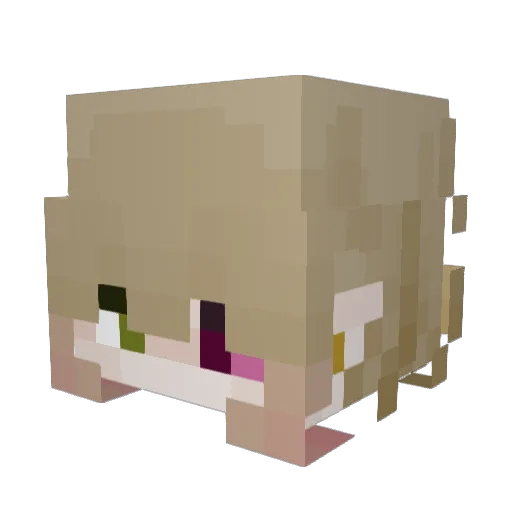 AArtemi5 Minecraft avatar head, 3D render