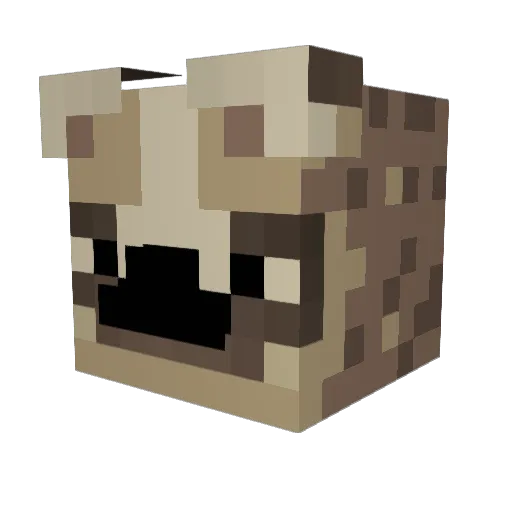 AAsh_ Minecraft avatar head, 3D render